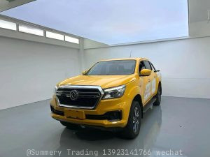 2022 Dongfeng Rich 6 EV Bucket Flagship Automatic