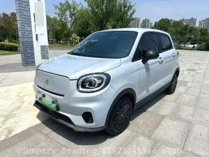 2023 Leapmotor T03 200 Enjoy Lite Edition, Automatic